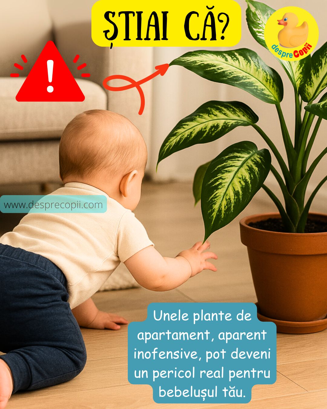 plante toxice bebelusi 